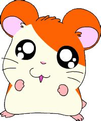 Crunchyroll - Hamtaro - Overview, Reviews, Cast, and List of Episodes ...