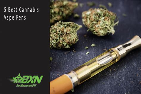 5 Best Cannabis Vape Pens - BudExpressNOW