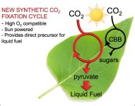 University of California, Los Angeles (UCLA) | arpa-e.energy.gov