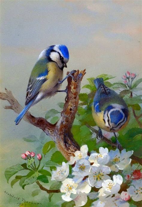 Pin on beatiful and colorful birds | Bird art, Birds painting, Vintage ...