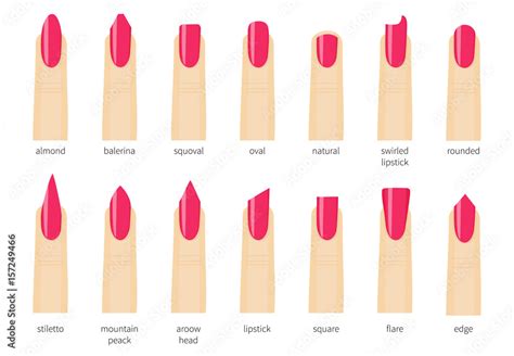 Different fashion nail shapes. Set kinds of nails. Salon nails type ...