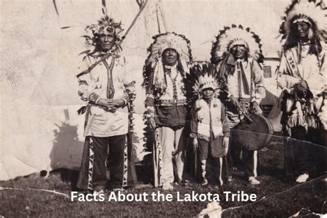 10 Facts About the Lakota Tribe - Have Fun With History