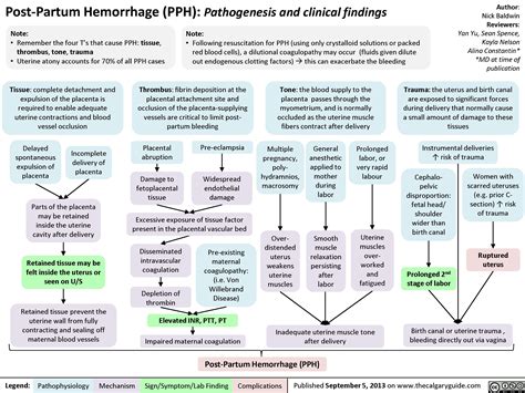 Post-Partum Hemorrhage | Calgary Guide | Hemorrhage nursing, Hemorrhage ...