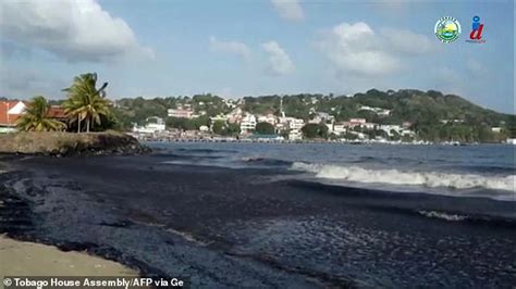 Beauty spot beaches on Tobago island are turned black after ship runs ...