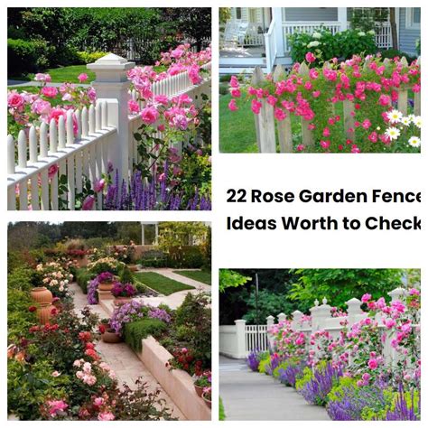 22 Rose Garden Fence Ideas Worth to Check | SharonSable