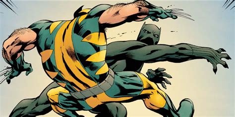 Marvel Settles The Wolverine vs. Black Panther Debate