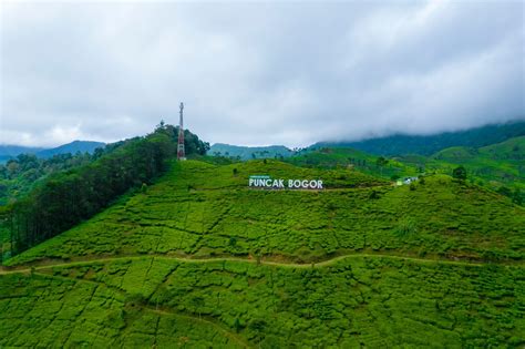 Nikmati Liburan Keluarga yang Menyenangkan di Puncak Bogor