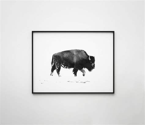 Bison Print Bison Poster Bison in Snow Animal Art - Etsy