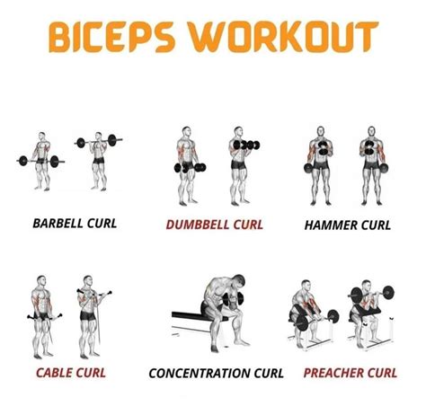 Biceps Workout At Gym | Biceps workout, Bicep and tricep workout ...