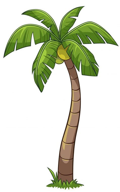 Premium Vector | Coconut tree cartoon style | Coconut tree drawing ...