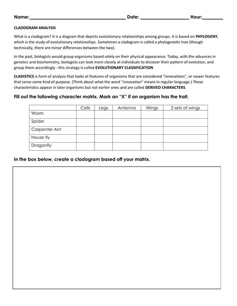 Cladogram worksheet