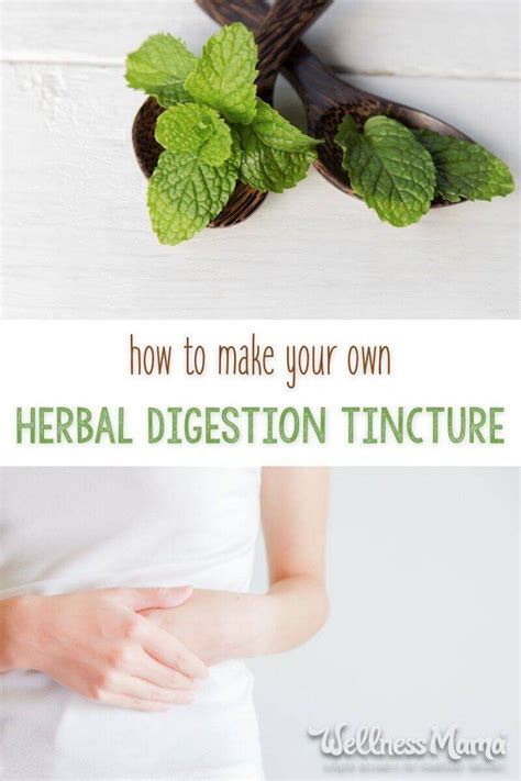 Herbal digestion tincture remedy – Artofit