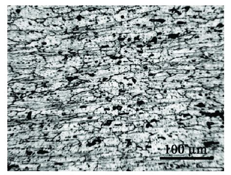 Aluminum alloy AlMg4.5Mn microstructure [5]. | Download Scientific Diagram