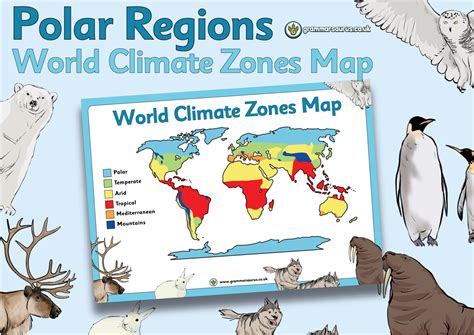 Polar Regions - World Climate Zones Map - Grammarsaurus