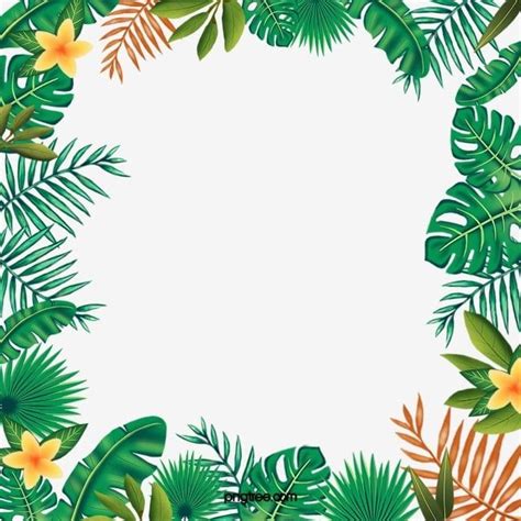 Tropical Leaves Border PNG Image