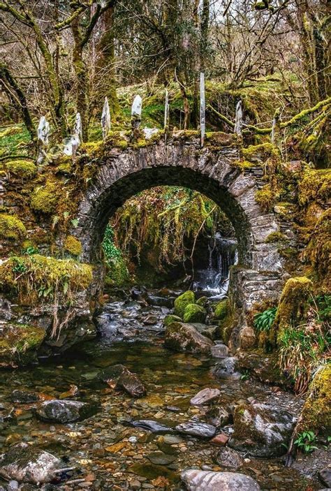 Fairy Bridge in Woodland,Scotland in 2023 | Old bridges, Stone bridge ...