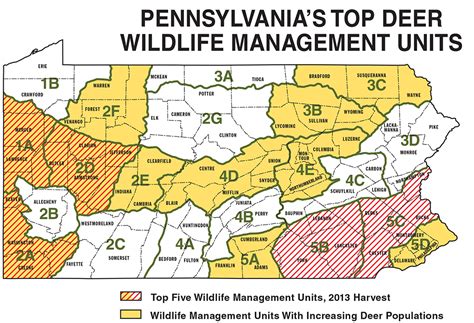 Full O'Bull Gazette: Follow The Map To Whitetails On PA Gamelands