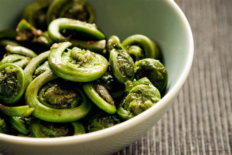 Steamed Fiddlehead Ferns Recipe