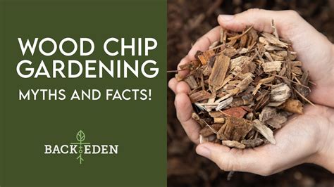 Wood Chip Mulch Gardening Myths and Facts! Dr. Linda Chalker Scott ...