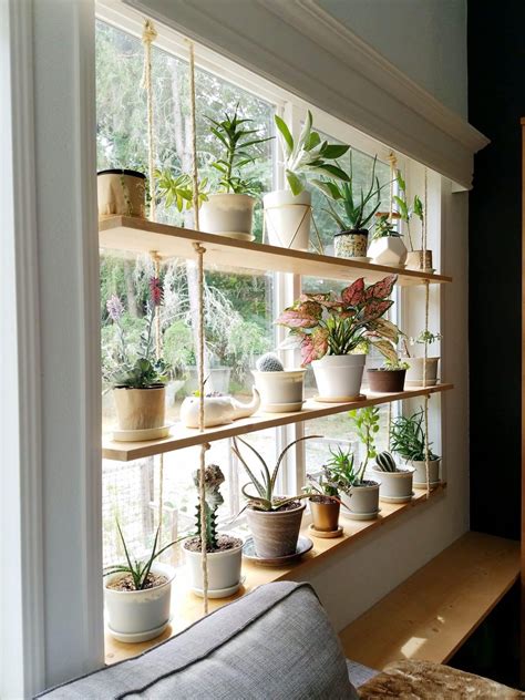 Step-by-Step Guide on How to Make a Beautiful Plant Wall | House plants ...