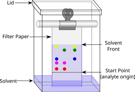 Chromatography Diagram Labeled