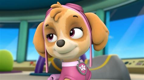 Skye x Chase pics - Skye and Chase - PAW Patrol Photo (40040678) - Fanpop