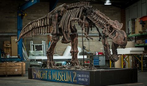 Animatronic T-Rex Skeleton Dinosaur for Hire, from Night at the Museum