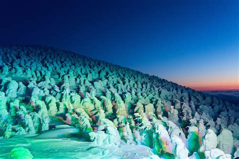 Zao Onsen : Meet the Snow Monsters at Zao Onsen Ski Resort!