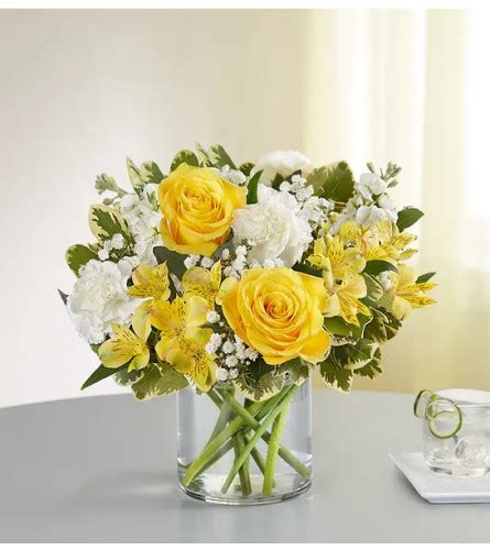 Yellow & White Delight Bouquet - Send to Houston, TX Today!