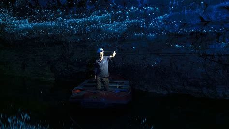 Waitomo Caves Tours NZ | Spellbound Glowworm Cave Tours