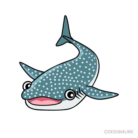 Whale Shark Clip Art Free PNG Image｜Illustoon