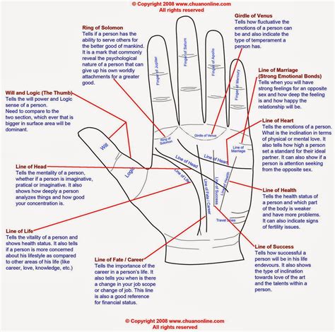 Read your own palm lines |Palmistry Fate