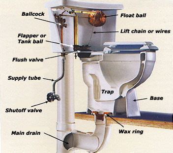 Anatomy Of A Bathtub Drain - Bathtube Insight