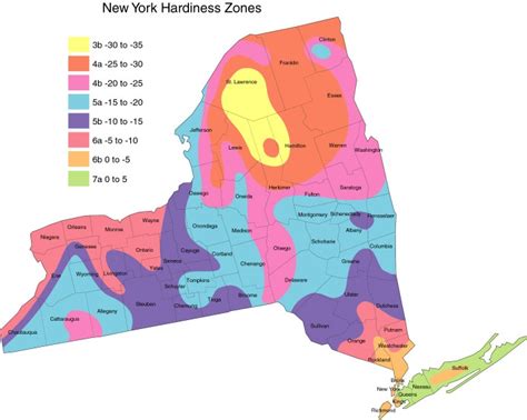 NY hardiness zones | Long island ny, Long island, Aurora sleeping beauty