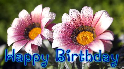 Happy birthday flowers, Wishes, Quotes and Hd wallpapers