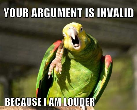 Download Funny Bird Meme Picture | Wallpapers.com