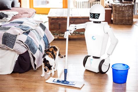 Are Service Robotics the Future for Home Robots? - NAI Group