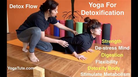 20 Minutes of Detox Yoga Sequence | Destress Mind | Abdominal Health ...