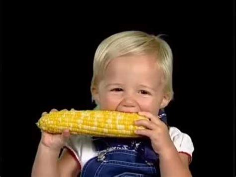 Baby Einstein Baby MacDonald A Day On The Farm (Part 2 Of 2) - YouTube