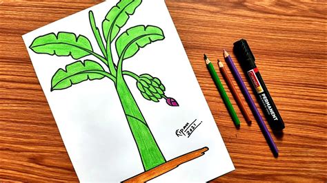 How To Draw Banana Trees