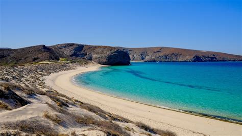 Top Beaches in Dreamy Playa Todos Santos, Mexico - Bookaway