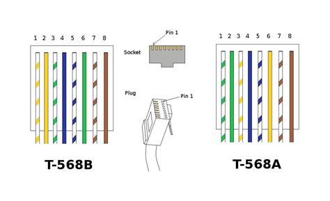 Cat5e Wiring Diagram Australia Cable A Cat 5 Connectors Data Wire New ...