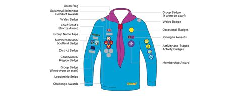 Beaver Badge Placement | 3rd Newbury Scout Group