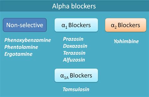 Classification of adrenergic antagonists