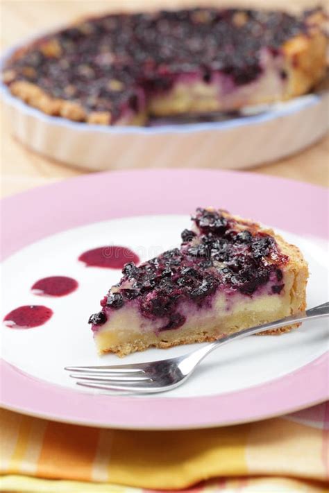 Bilberry pie stock image. Image of fruit, food, gourmet - 20440251