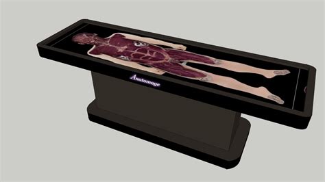 Anatomage Table | 3D Warehouse