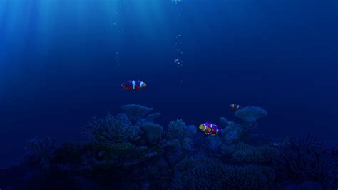 #960217 underwater, fish, animals, sea, Finding Nemo, clownfish - Rare ...