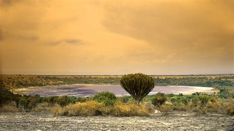 Queen Elizabeth National Park - Roots Tours & Travel