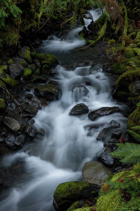 Lake Crescent waterfall 3 Photograph by Mike Penney - Fine Art America