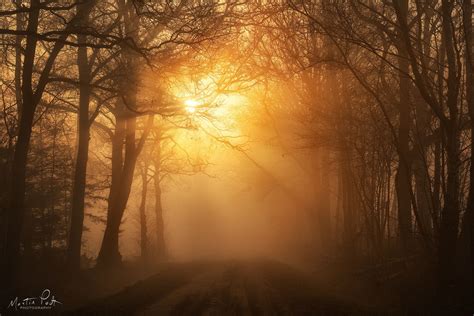 Misty sunrise - null | Dreamy landscapes, Sepia photography, Landscape